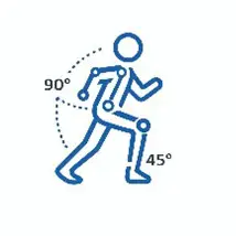 More efficient movement through improved coordination and muscle activation